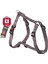 Kilitli Göğüs Tasma M 45-70cm Gri 1