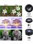 PM-25951 Telefon Kamera 6lı Set Lens Kiti 3