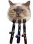 Kedi Boy. Tas. Balık DES.10MM28CM (3 Lü) Gnzrz 1