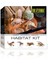 Exo Terra Çöl Teraryum Set Kit M Gnzrz 1