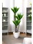 Yapay Kılıç Çiçeği Ağacı - Salon Bitkisi - Yapay Çiçek - 1.2 Metre 5