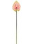 Yapay Antoryum Çiçeği Canlı Dokunuş Pembe 40 cm 3