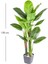 Yapay Ağaç Difenbahya Gerçek Dokulu 21 Yaprak 120 Cm. 3