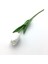 Yapay Islak Lale (33 cm ) 1