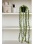 Yapay Çiçek Saksıda 70 cm Elodea Sarkan Yeşillik 1