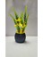 20CM Mini Saksıda Garnitür Lavanta Yapay Bitki 20 cm Dekoratif Banyo Mutfak Masa Çiçeği 4