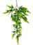 Yapay Çiçek Sarkan Boston Fern 60 cm 5dallı TY124 Yapay Sarmaşık Yeşil 1