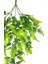 Yapay Çiçek Sarkan Boston Fern 60 cm 5dallı TY124 Yapay Sarmaşık Yeşil 3