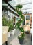 Yapay Ağaç Pembe Marsilya Şakayıklı Spiral Şimşir Ağacı 160 cm Bambu Saplı Salon Bitkisi 5