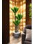 Yapay Kılıç Çiçeği Ağacı - Salon Bitkisi - Yapay Çiçek - 1.2 Metre 1