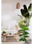 Yapay Çiçek Tropik Areka 80 cm 23 Yapraklı Salon Çiçeği Beyaz Saksılı Yapay Bitki 5
