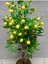 Limon Ağacı Doğal Görünümlü Çalılı Lüks Yapay Ağaç 90 cm . 5