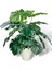 Yapay Çiçek Krem Saksıda Monstera Deve Tabanı Yeşil Doğal Dokulu 18DAL 50 cm Salon Çiçeği Yapay Bitk 1