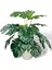 Yapay Çiçek Krem Saksıda Monstera Deve Tabanı Yeşil Doğal Dokulu 18DAL 50 cm Salon Çiçeği Yapay Bitk 2