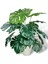 Yapay Çiçek Krem Saksıda Monstera Deve Tabanı Yeşil Doğal Dokulu 18DAL 50 cm Salon Çiçeği Yapay Bitk 3