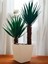 Dekoratif Saksıda Aloe Vera Yapay Bitki 3
