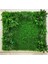 10 Adet Duvar Uygulaması Yapay Şimşir Yeşillik 40*60 cm 2