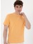 Bisiklet Yaka Turuncu Erkek T-Shirt Gaston 3
