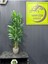 Yapay Çiçek Uygula 105 cm Yapay Ağaç Salon Çiçeği Sarmaşık 1
