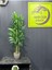 Yapay Çiçek Uygula 105 cm Yapay Ağaç Salon Çiçeği Sarmaşık 2