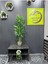 Yapay Çiçek Uygula 105 cm Yapay Ağaç Salon Çiçeği Sarmaşık 3