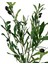 Yapay Çiçek Siyah Saksıda Zeytin Dalı 60 cm 3