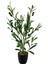 Yapay Çiçek Siyah Saksıda Zeytin Dalı 60 cm 4