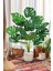 Yapay Deve Tabanı (Monstera Ağacı) 85 cm 1