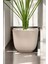 Yapay Deve Tabanı (Monstera Ağacı) 85 cm 5