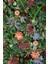 Yapay Dikey Bitki Hazır Duvar Paneli 50 x 100 cm Model 2 3