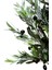 Yapay Zeytin Ağacı 120 cm Tek Gövdeli Doğal Gerçek Görünümlü Yapay Ağaç 4