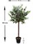Yapay Zeytin Ağacı 120 cm Tek Gövdeli Doğal Gerçek Görünümlü Yapay Ağaç 5