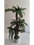 Rüzgar Yapay Çiçekçilik 160 cm Fujer Palmiye Ağacı 2
