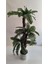 Rüzgar Yapay Çiçekçilik 160 cm Fujer Palmiye Ağacı 4