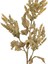 Yapay Çiçekli Bitki Pampas Yeşil 90 cm . 2