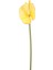 Yapay Yıkanabilir Silikon Antoryum Çiçeği 48 cm Sarı 1