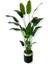 Starliçe 24 Yaprak 190 cm Yapay Ağaç 30 x 30 Gümüş Kemerli Saksı 3