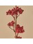 Kokina Dal Çiçek Kırmızı (75 cm ) 2