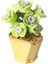 Dıy Moc Saksı Bitkileri Sulu Meyveler Kaktüs Gypsophila Bonsai Ağaç Bahçeleri Romantik Yapı Taşları Model Tuğlalar Setleri Kits Kutu Olmadan 83PCS (Yurt Dışından) 1