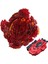 B144 Stili B-X Toupıe Patlama Beyblade Sparking B173 B172 B171 B131 Dead Phoenix .0.atomic Süper Z Booster Dead Pheonix 0 Atomic Gyro Zeppeli (Yurt Dışından) 5