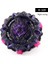 B168 Başlatıcı Stili Beyblade Burst B171 B168 B163 B160 B-125 B-122 Arena Oyuncakları Satışı Fırlatıcı Drain Fafnir Phoenix (Yurt Dışından) 4