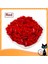 100PCS /lot Kedi Tırnak Kapakları Yumuşak Kedi Pençe Kontrol Evcil Hayvanları Silikon Tırnak su Yapıştırıcı ve Aplikatör Renk: Kırmızı /boyut: Xs (Yurt Dışından) 1