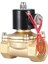 2W-320-32 Ac 220V Nc Elektromanyetik Valf - Solenoid Valf 1