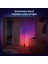 Hue Gradient Signe Zemin Işığı - Siyah 2