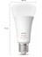 HueWCA 13.5-100W E27 1600 Lumen Renkli Akıllı Ampul A67 2