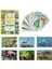 1352 F.cards Ilk 50 Hayvan 1