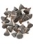 25LI Paket Mini Lotus Plant(Gerçek Lotus) 1