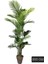 200 cm Yapay Areka Ağaç 4