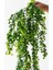 Yapay Okaliptus Sarmaşık 80 cm 5 Dal 3