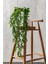 Yapay Okaliptus Sarmaşık 80 cm 5 Dal 4